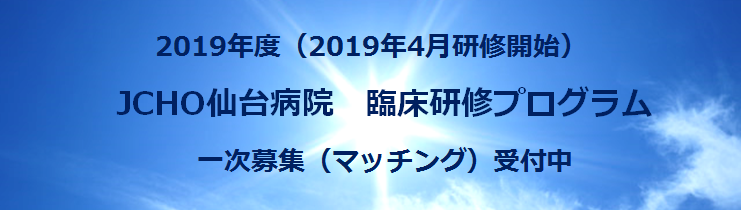 syokikensyu2019